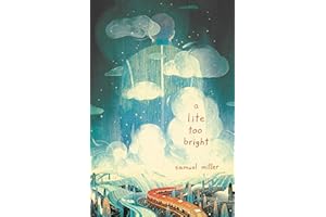 A Lite Too Bright: A Young Adult Literary Mystery of Family Secrets and a Cross-Country Journey to Truth