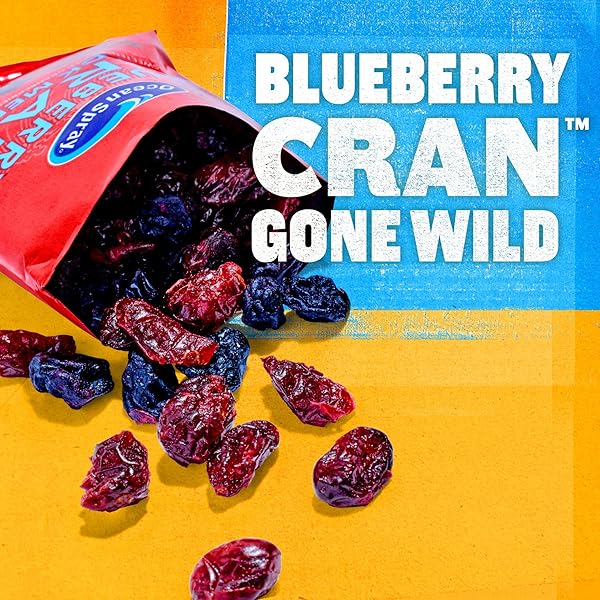 OCEAN SPRAY® BLUEBERRY CRAN™ SNACK MEDLEY, CRANBERRY AND BLUEBERRY DRIED FRUIT SNACK, 1 OZ POUCHES, 5 COUNT