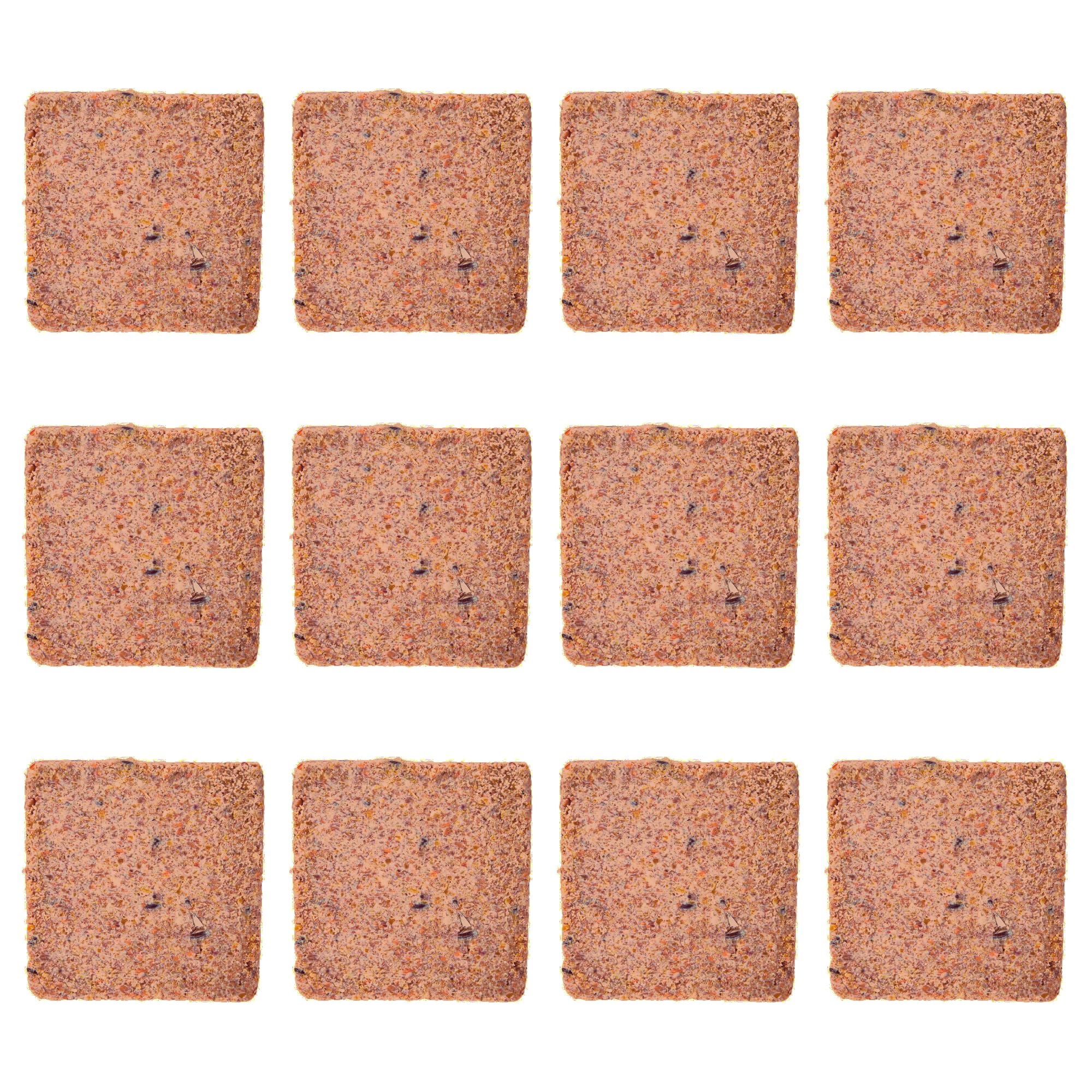 Garden Ting Berry Suet Block Wild Bird Treat, 12 x 300g