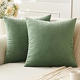 ANRODUO Pack of 2 Velvet Sage Green Throw Pillow Covers 18x18 Inch Decorative Pillow Covers Euro Cushion Case Soft Solid Square Cozy Modern Home Decorations Pillowcase for Sofa Couch Bed Spring Decor