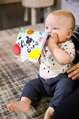 Baby Einstein Curious Explorers Teether Book Take-Along Toy Ages Newborn+ view 8