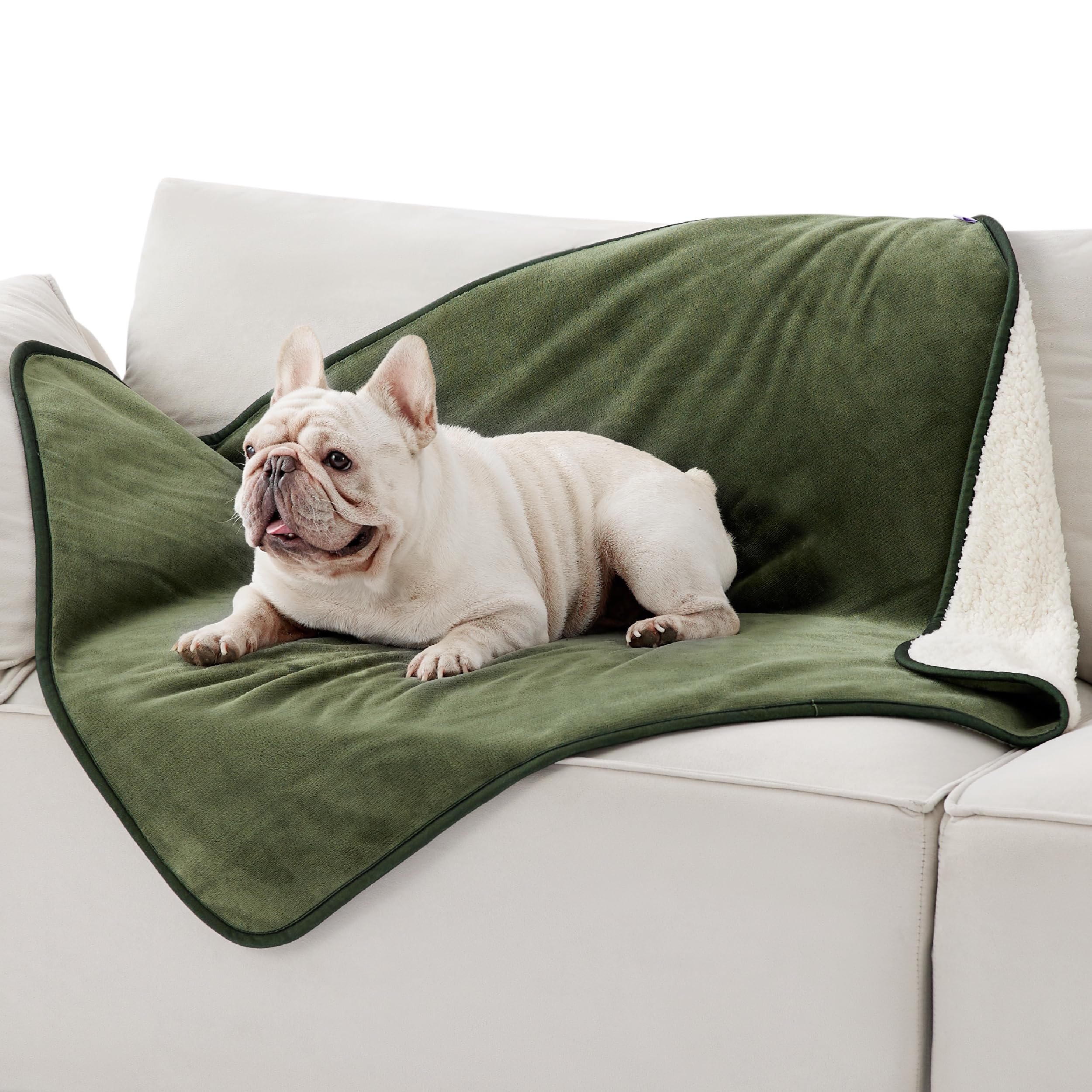 LE SURE Waterproof Dog Blanket Washable - 100x80cm Fleece Pet Blanket For Medium Dogs and Cats, Personalised Kitten Throw Protects Bed and Sofa with Soft Plush, Olive Green