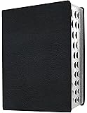 MEV Bible Giant Print Black Indexed: Modern English Version