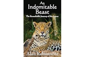 An Indomitable Beast: The Remarkable Journey of the Jaguar