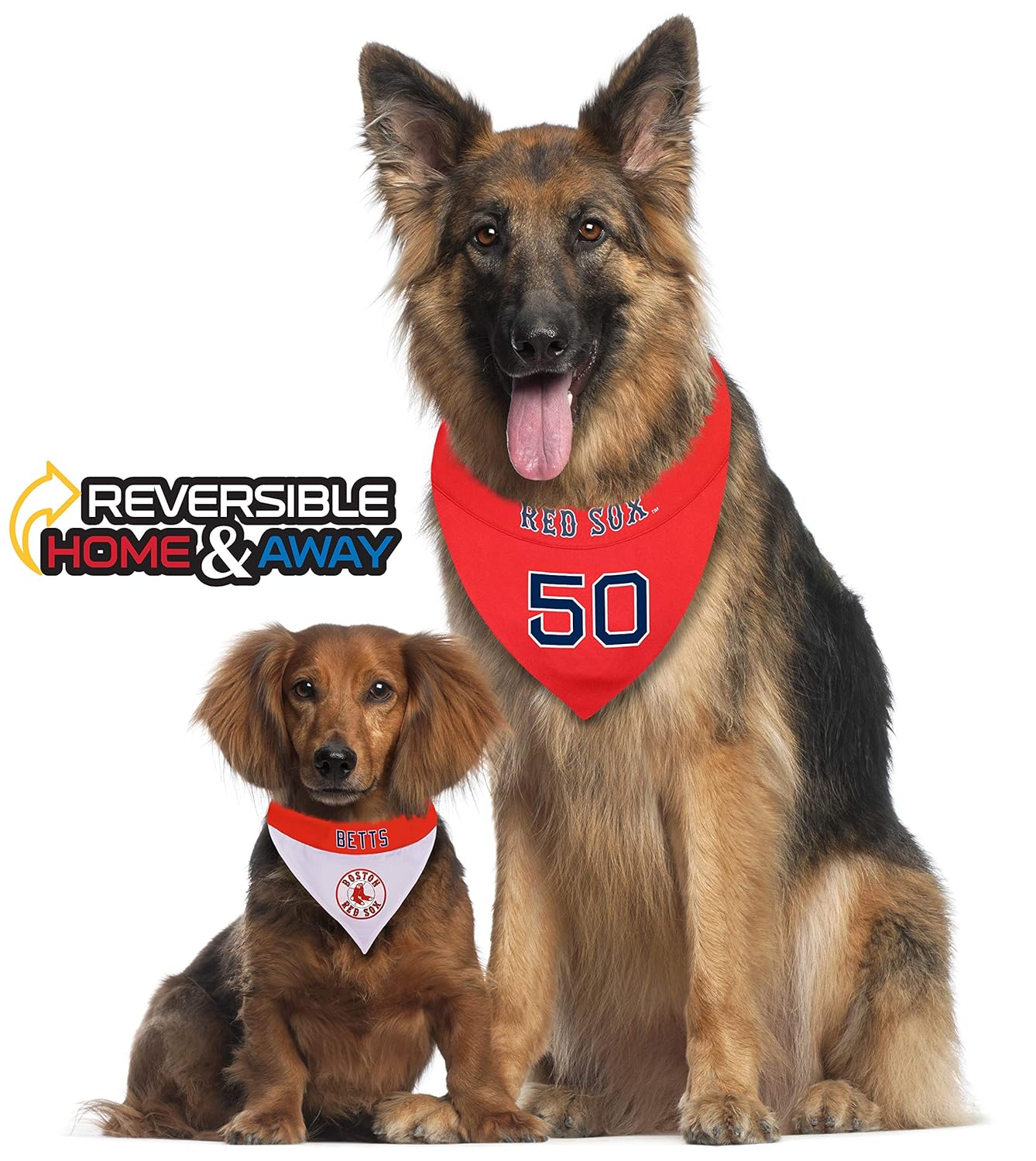 mlb pet gear