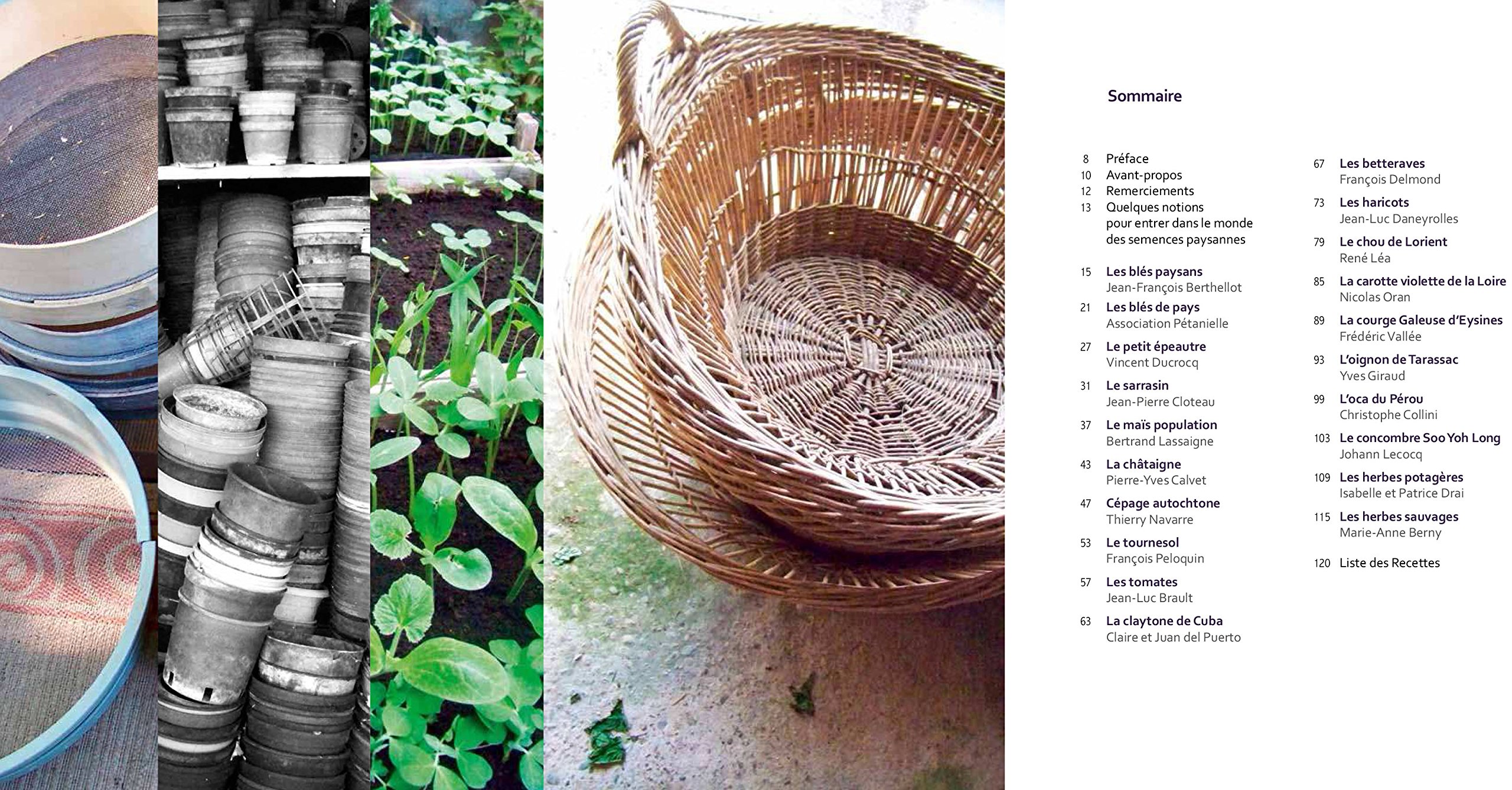 Amazonfr De Ceux Qui Sèment à La Cuisine Laurence - 