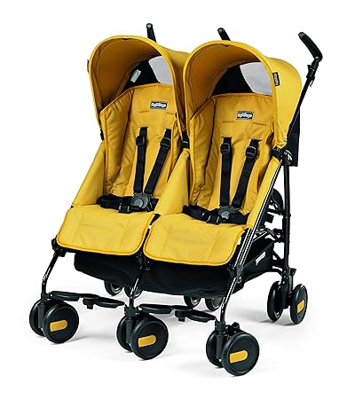 twin buggy done deal