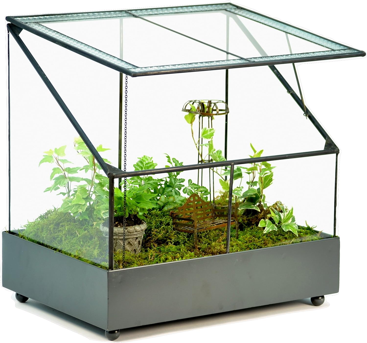 Best miniature fairy garden ivy windows