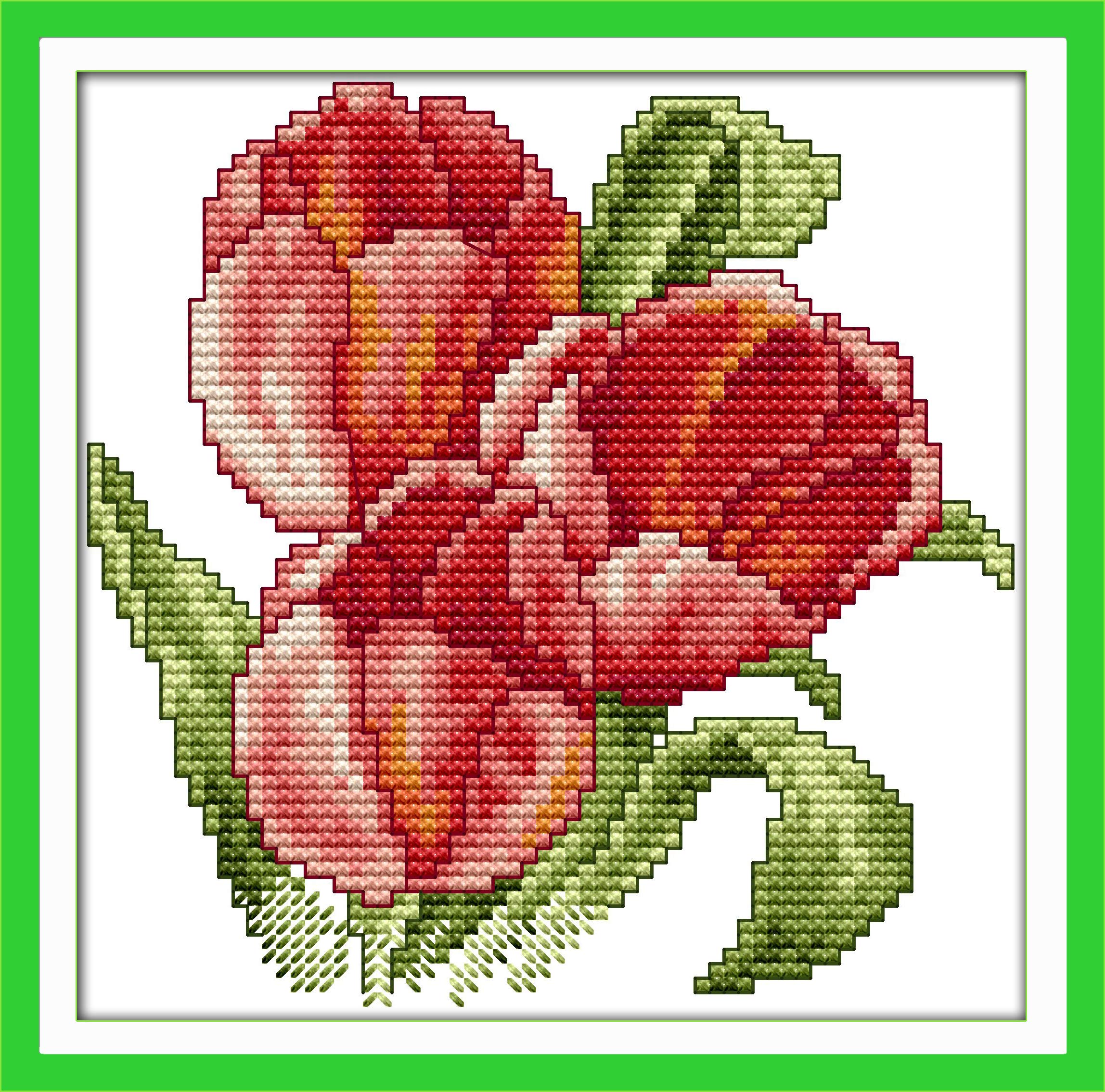 OWN4B Cross Stitch Kits Stamped, The Flower of Happiness Printed Pattern 11CT 8.3x8.3 inch DIY Embroidery Kit