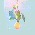 Lemon/���Ÿ���