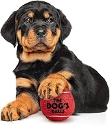 The Dog's Balls Dog Tennis Balls Red Small 6-Pack Non Abrasive Felt view 3