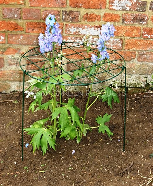 GAP Garden Products - Soporte con forma de anillo y tres patas ...