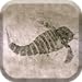 geotimescale enhanced