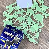 D.A.Y. Republic 24ct 3D Glow Dinosaurs Fluorescent Wall Decals Sensory Nursery view 4