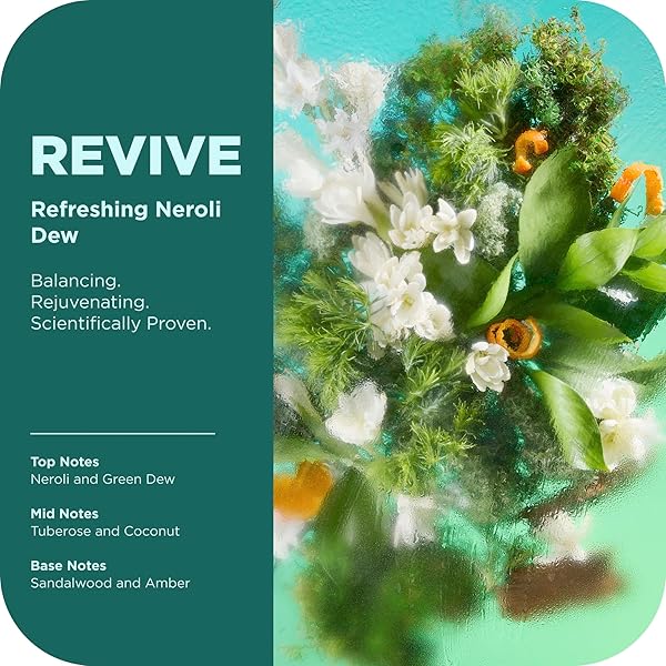 OLLY REVIVE BODY WASH WITH MAGNESIUM, ELECTROLYTES & VITAMIN B12– NOURISHING CLEANSER FOR SKIN BARRIER REPAIR, DEEP HYDRATION, REFRESHING NEROLIDEW SCENT, 17 OZ