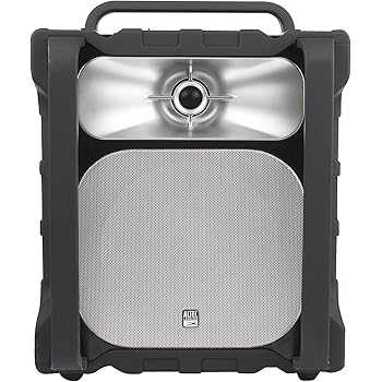 Amazon.com: Toshiba TY-ASC60 Rechargeable Wireless Bluetooth Audio