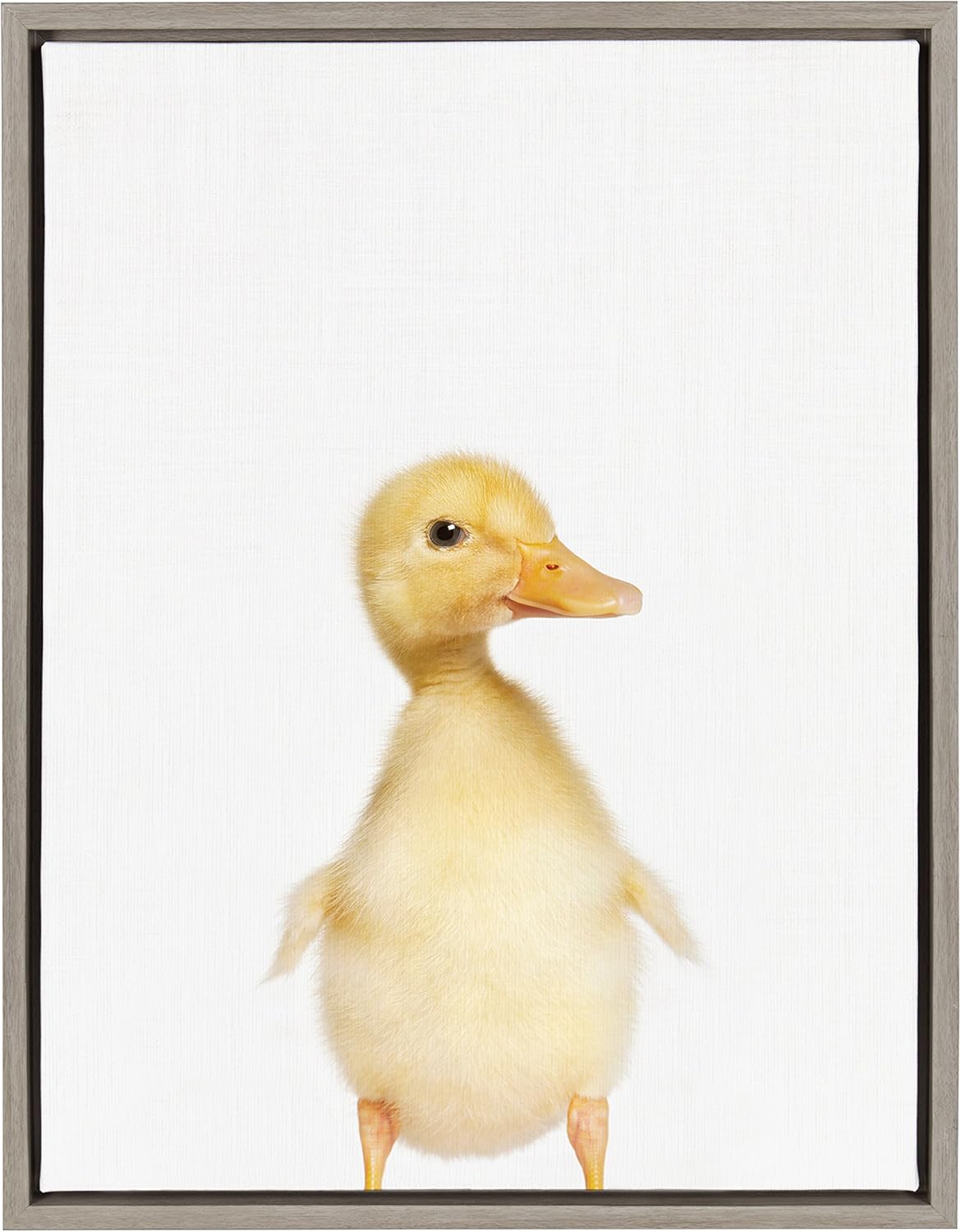 Best Wild Ducks Wall Art For Dining Room