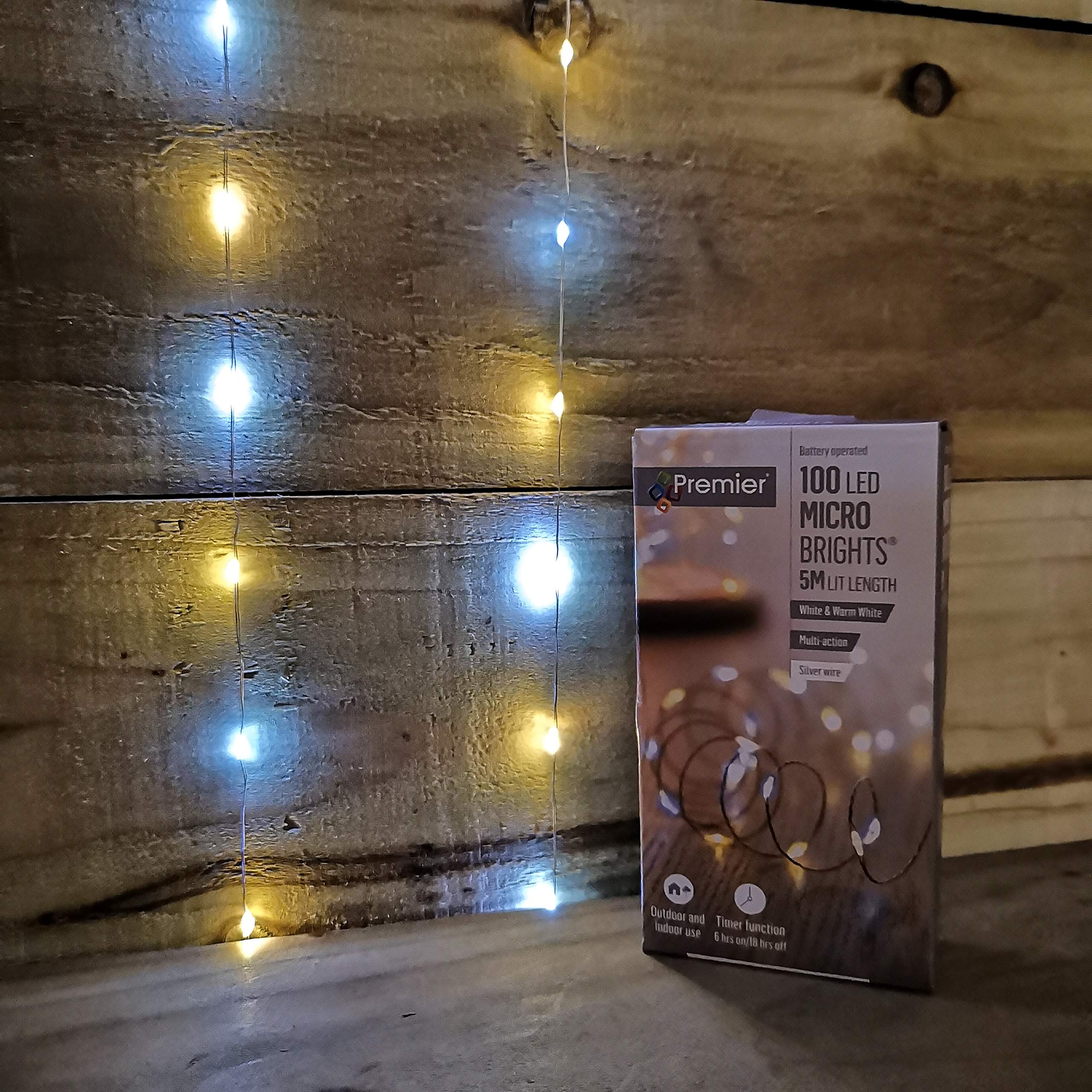 Premier 100 Micro Bright Multi Action Pin Wire LED Lights Warm White & White