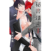 HISYOHAMISOKAGOTONOWANANONAKAJOUKANGEKANSETTO (Japanese Edition) book cover