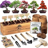 AVERGO Bonsai Tree Kit for Beginners – 5X Unique Japanese Bonzai Trees | Complete Indoor Starter Kit for Growing Bonsai Plant