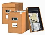 Huolewa Hanging File Boxes Organizer Set of 2, File