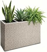 CASARIA Flower Box 3 Inner Pots Polyrattan Rectangular Planter Cream