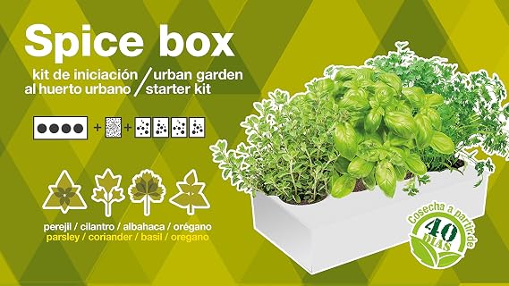 SeedBox PGSPK Kit huerto Urbano de orégano y albahaca, Blanco y ...