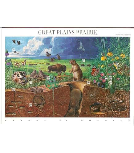 Amazon.com: USPS Northeast Deciduous Forest Wildlife