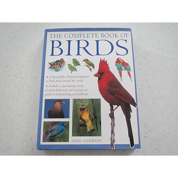 洋書 Jeffrey Whiting's Owls of North America FIRST EDITION Jeffrey Whiting's OWLS of North America 1997 | eBay