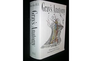 Gray's Anatomy