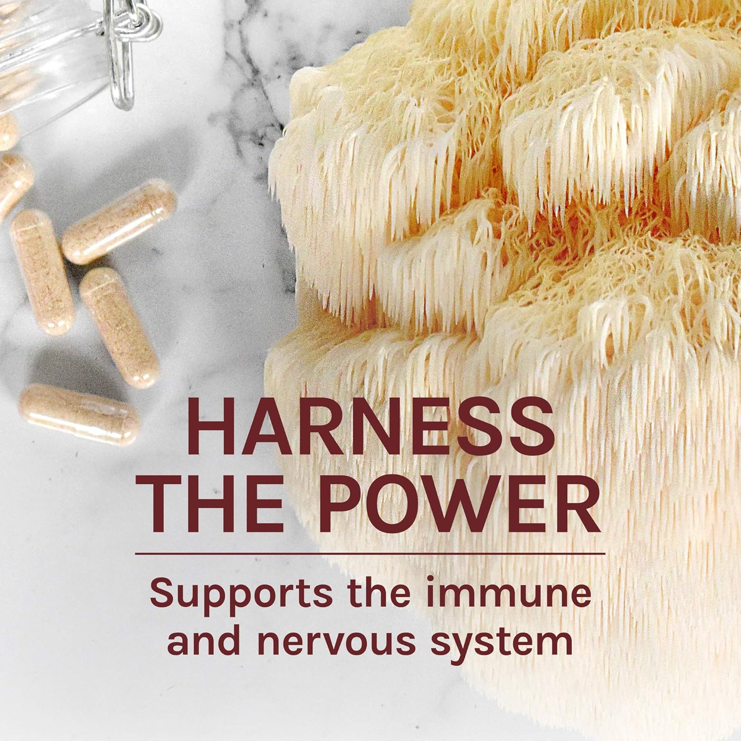 Host Defense, Lion's Mane Capsules, Promotes Mental Clarity, Focus and Memory, Daily Mushroom Supplement, Vegan, Organic, 120 Capsules (60 Servings): Health & Personal Care
