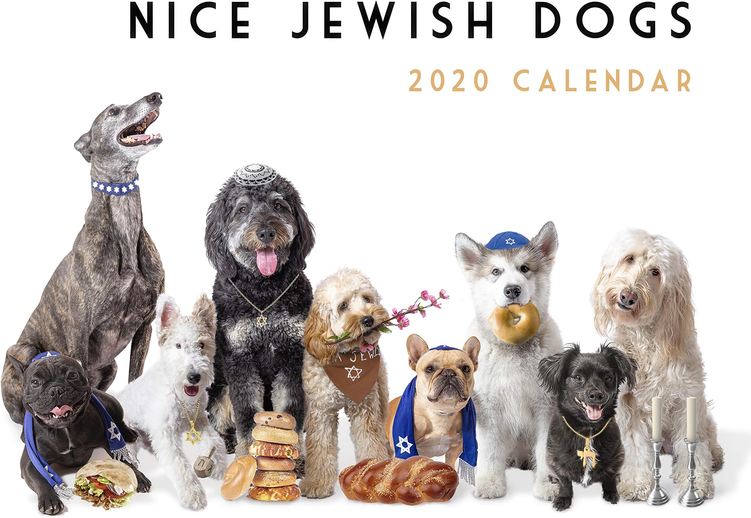 Nice Jewish Dogs 2020 Calendar
