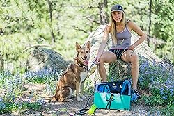 OllyDog Flagstaff Collar, Webbing Dog Collar with