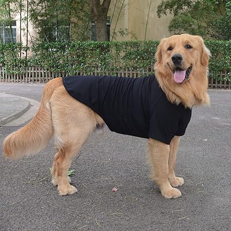 xxxl dog shirts