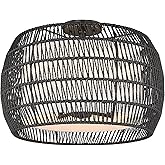 Golden Lighting Everly 4-Light Semi-Flush in Matte Black and Modern Black Rattan