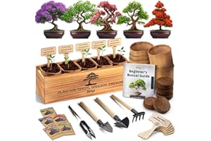 AVERGO Bonsai Tree Kit for Beginners – 5X Unique Japanese Bonzai Trees | Complete Indoor Starter Kit for Growing Bonsai Plants with Tools & Planters – Gardening Gifts for Women & Men