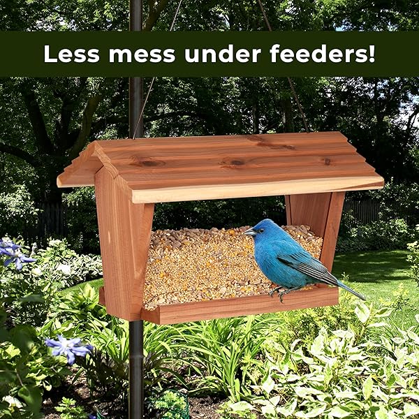 KAYTEE WILD BIRD (NO MESS OR WASTE FREE) FOOD SEED BLEND FOR BLUE JAYS, WOODPECKERS, JUNCOS, CARDINALS, GROSBEAKS, SPARROWS, AND FINCHES, 10 POUND, (PACKAGING MAY VARY)