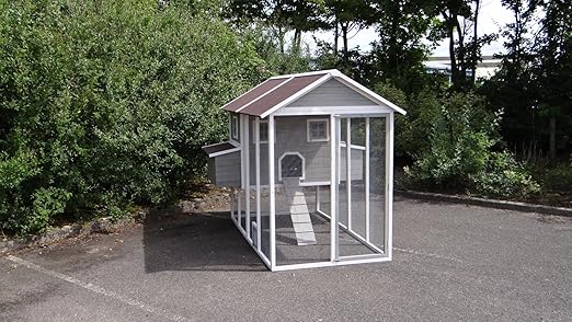 Un Poulailler Mobile Pour Des Pondeuses Qui Pâturent Vidéo