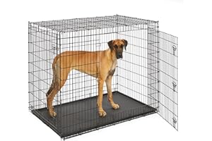 MidWest Homes for Pets SL54DD Ginormous Double Door Dog Crate for The Largest Dogs Breeds, Assembled Measurement 136cm x 90.5