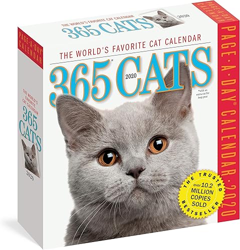 Download 365 Cats 2020 Calendar PDF
