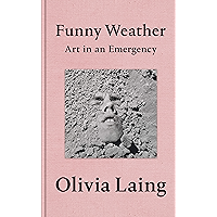 Funny Weather: Art in an Emergency book cover