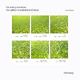 Hemway Lime Green Glitter Shaker 130g Fine Glitter 1/64in Metallic Flake view 3
