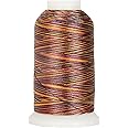 Threadart Variegated Polyester Embroidery Thread - 40wt - 1000m - 25 Colors Available - No. 18 - Arabian Nights