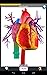 Anatomy Quiz Lite