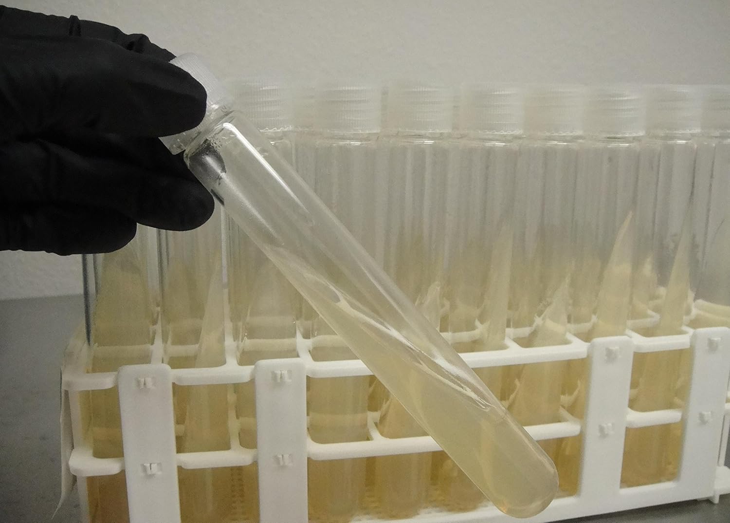 Pure Micro MediaPrepared Nutrient Agar Slant Culture Tubes, 30pk Industrial