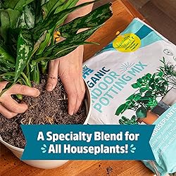 Back to the Roots 100% Organic Indoor Potting Mix