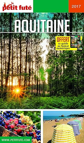 Download Petit Futé Aquitaine PDF
