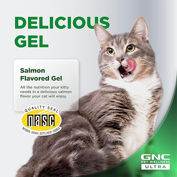 GNC PETS ULTRA MULTIVITAMIN GEL/PASTE, CATS, SALMON FLAVOR, 3.5-OZ TUBE | MULTIVITAMIN SUPPLEMENT GEL FOR CATS SALMON FLAVOR | CAT DAILY SUPPLEMENT SALMON FLAVOR FF14379