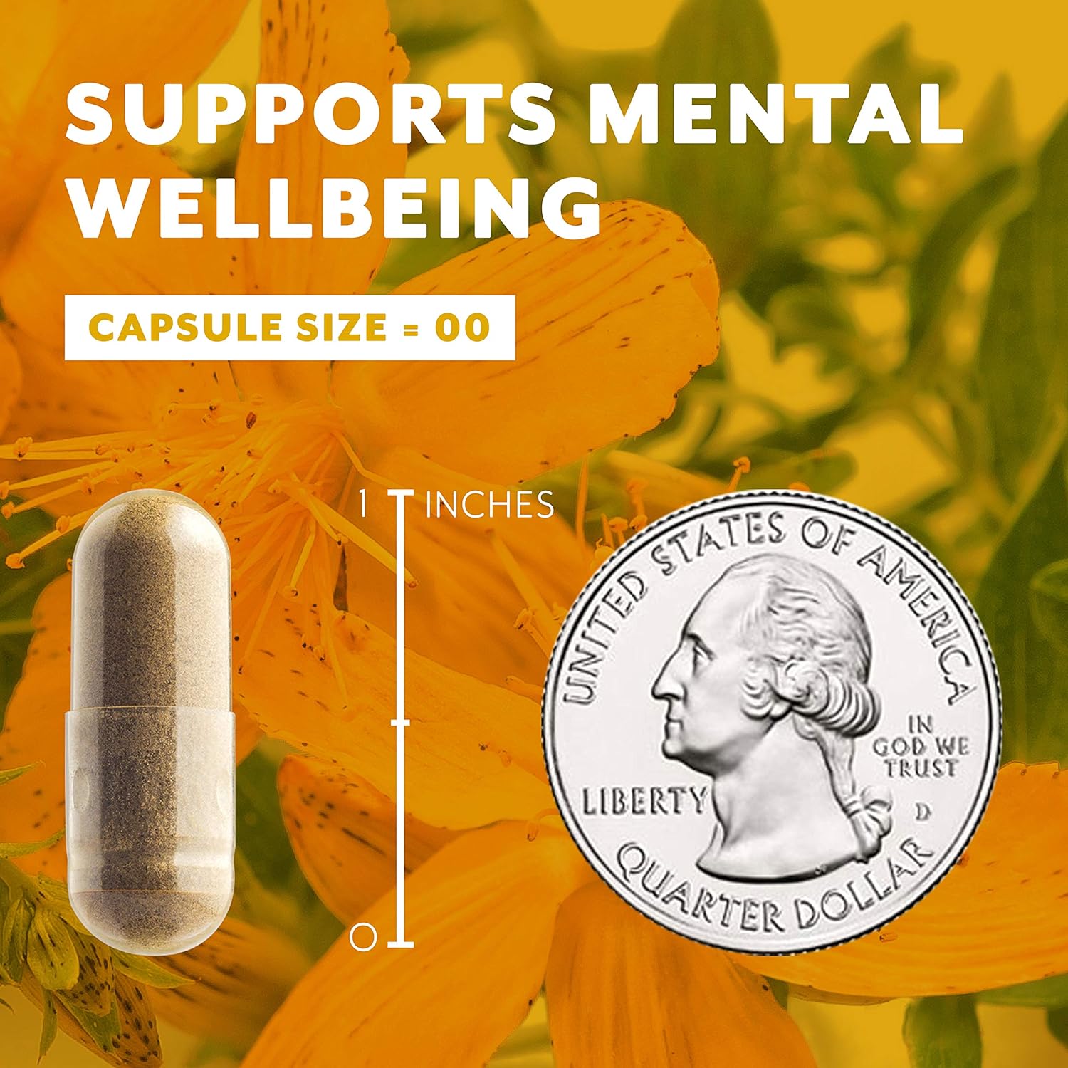 St Johns Wort Capsules Natural Depression Supplements, Anxiety Relief