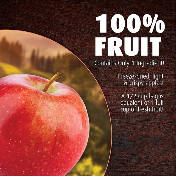 BROTHERS ALL NATURAL FREEZE DRIED FRUIT CRISPS, FUJI APPLE, 0.35 OZ (PACK OF 12), MADE WITH 100% FRUIT, GLUTEN FREE, SOY FREE, VEGAN, HEALTHY SNACK, LUNCH BOX READY | PACKAGING MAY VARY